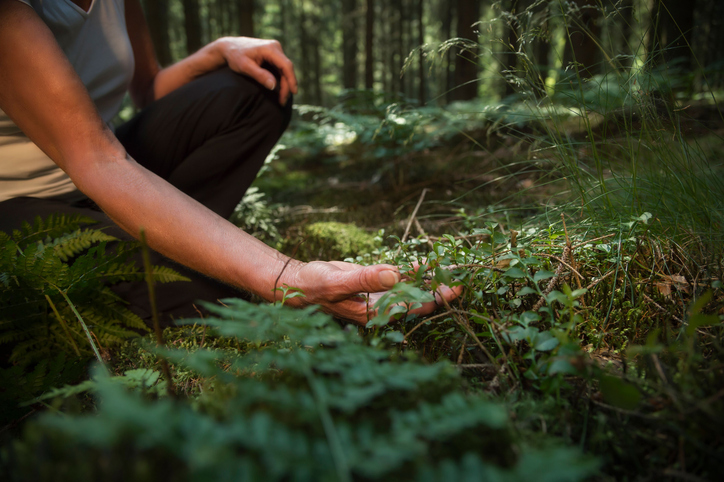Camp Ferme et Nature